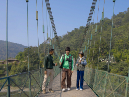 Nature walk