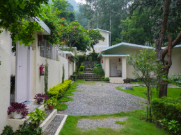 Near to nature