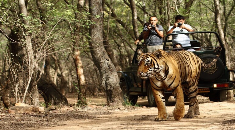 Best Place To Visit In National Corbett Jim Park
