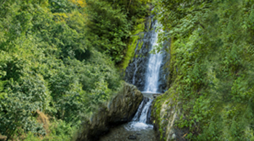   Resorts Near Jim Corbett National Park Waterfall