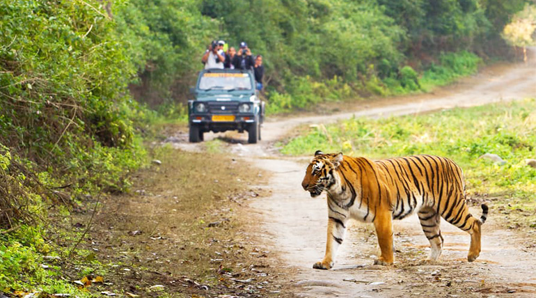 Thrill Seekers Guide To Adventure Activities In Corbett National Park