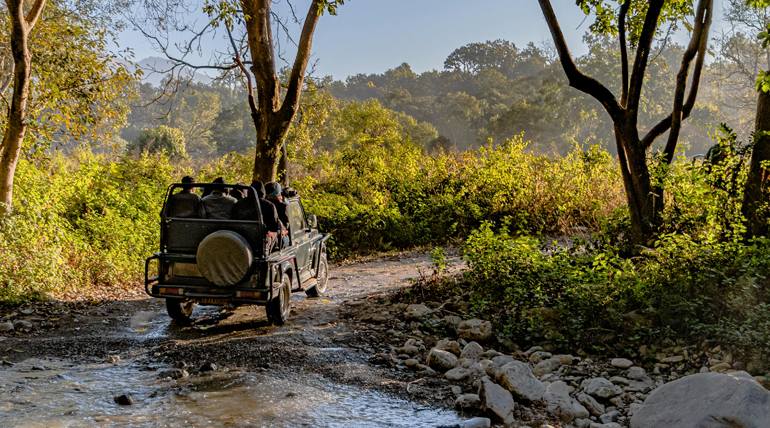 Jim Corbett Travel Guide 2026