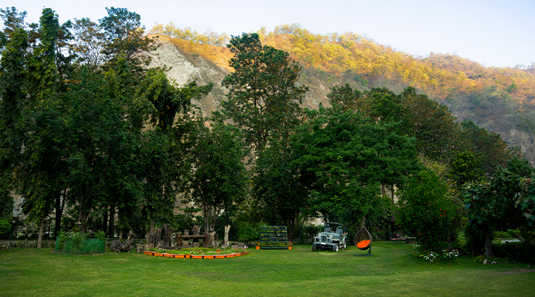 Jim Corbett Resorts Perfect for Nature Lovers