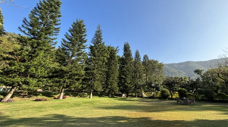Book The Best Resort In Jim Corbett: Amenities, Safari & Stay Guide 