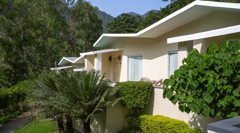 Luxury Cottages In Jim Corbett: Why Travelers Prefer Premium Stays