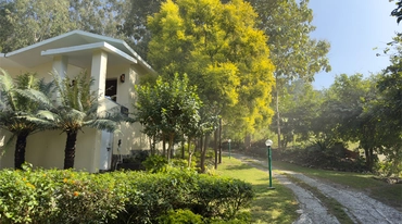 All-Inclusive Resort Packages In Jim Corbett