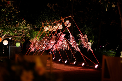 New Year Special Package