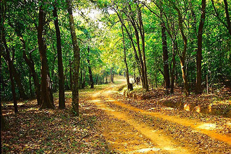Sightseeing in Jim corbett