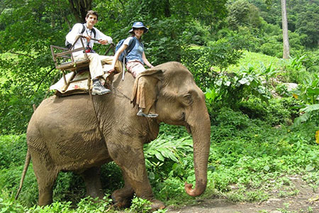 Jeep Safari in corbett