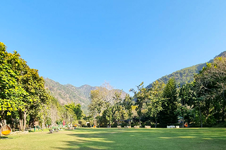 Jeep Safari in corbett