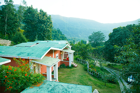 Safari in jim corbett