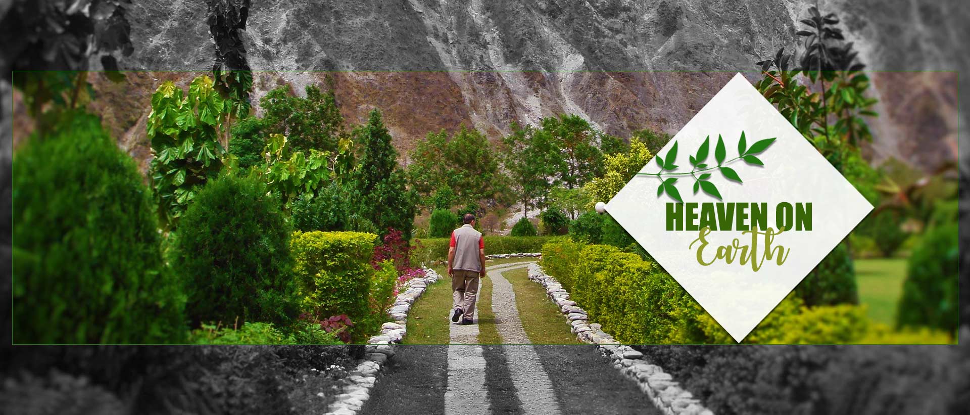 degital-detoxification-slider-image