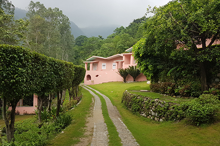 Safari in jim corbett