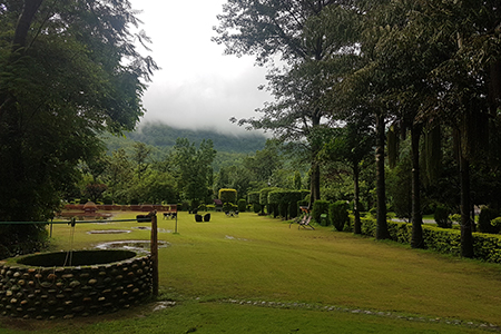 Jeep Safari in corbett
