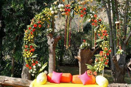Jeep Safari in corbett